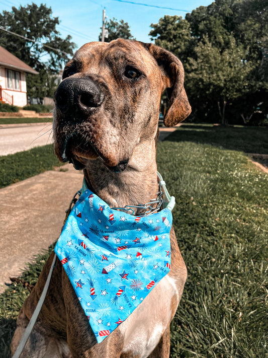 KaBoom Bandana