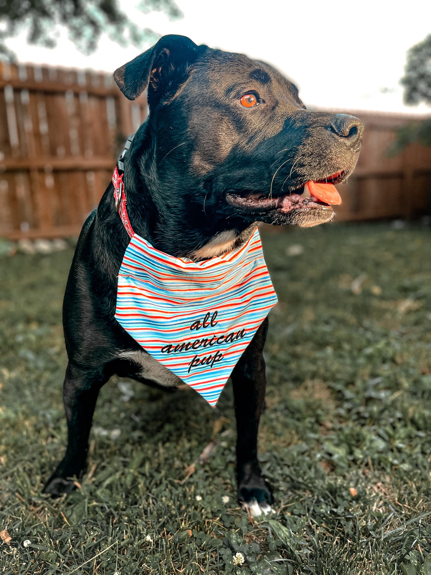 All American Pup Embroidered Bandana