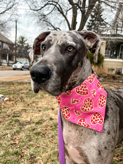 Pizza Hearts Bandana