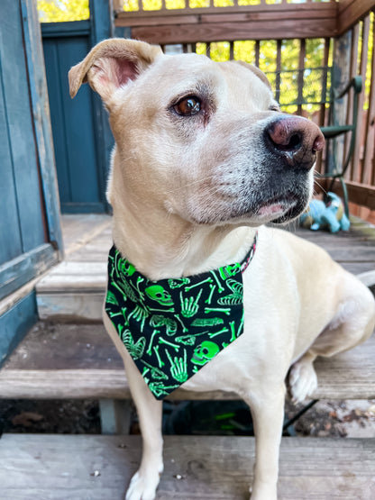 Neon Green Skeleton Bandana