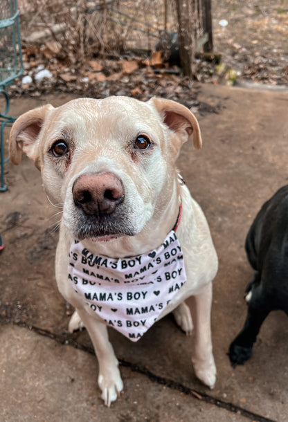 Mamas Boy Bandana