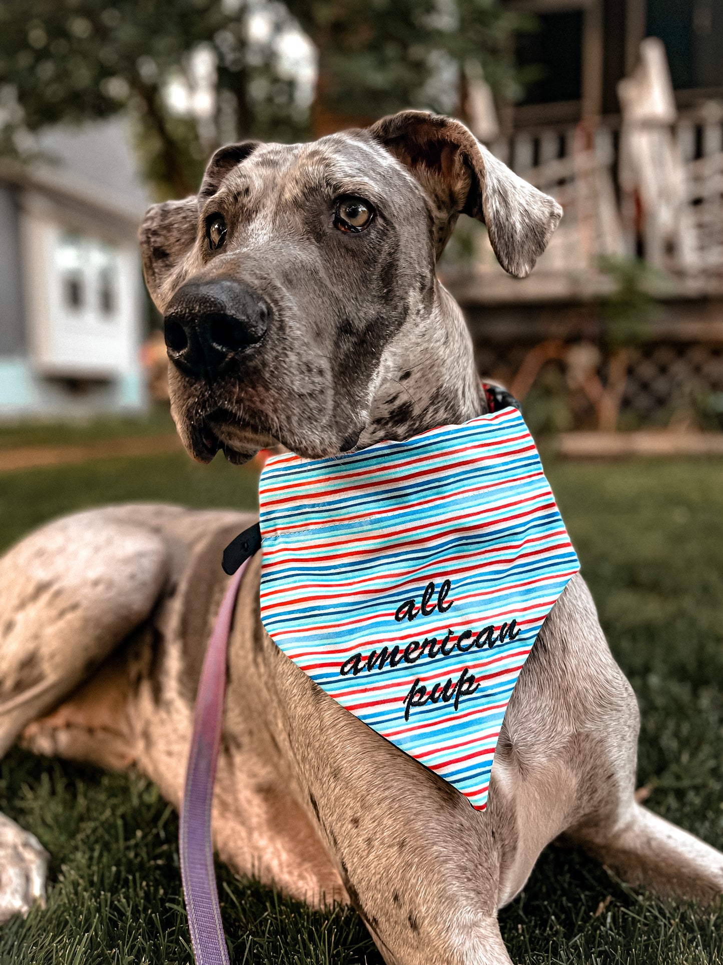 All American Pup Embroidered Bandana