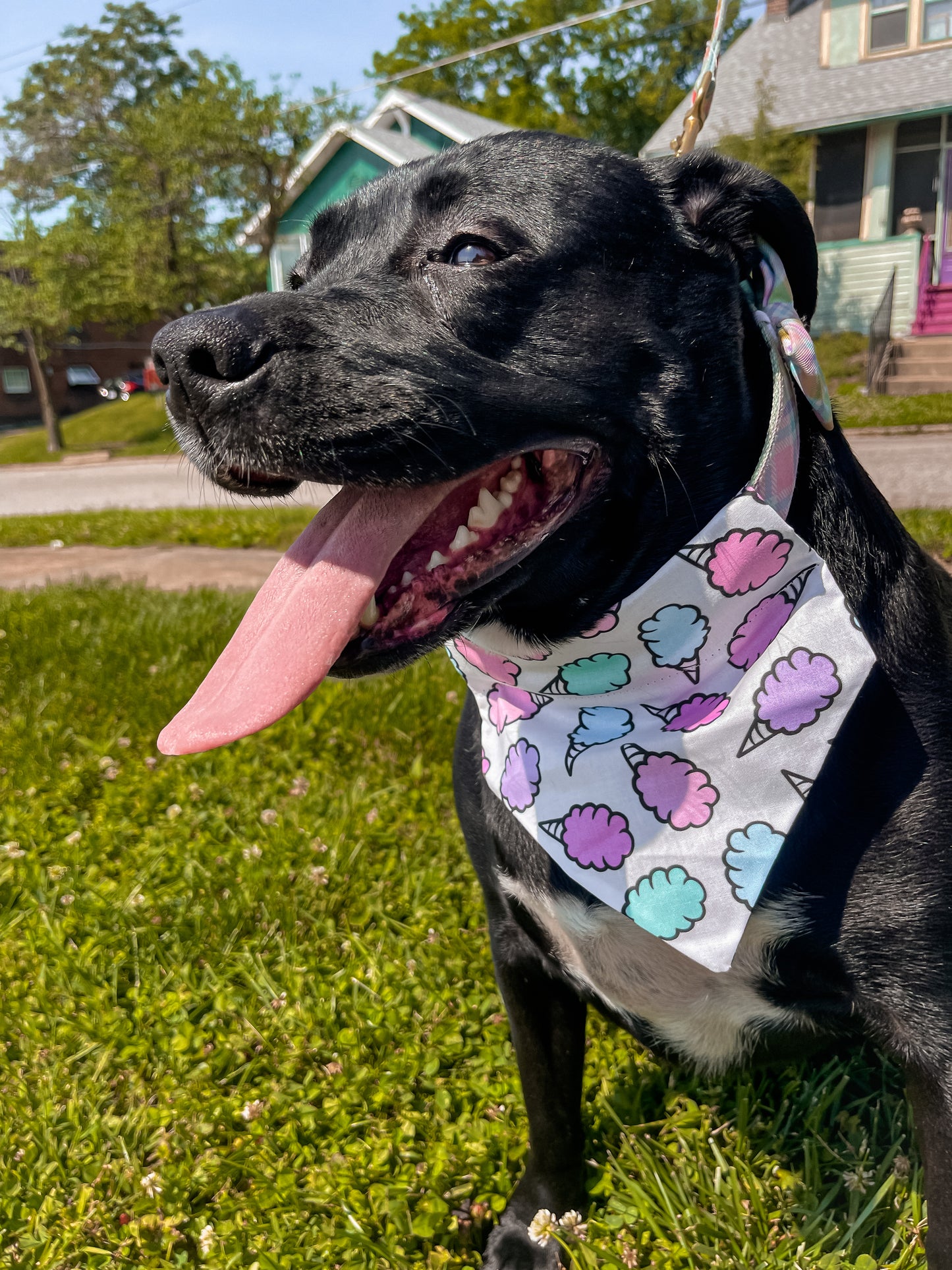 Cotton Candy Bandana