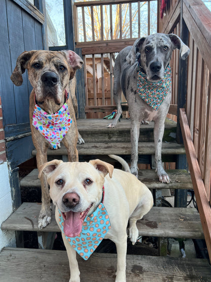 Smiley Suns Bandana