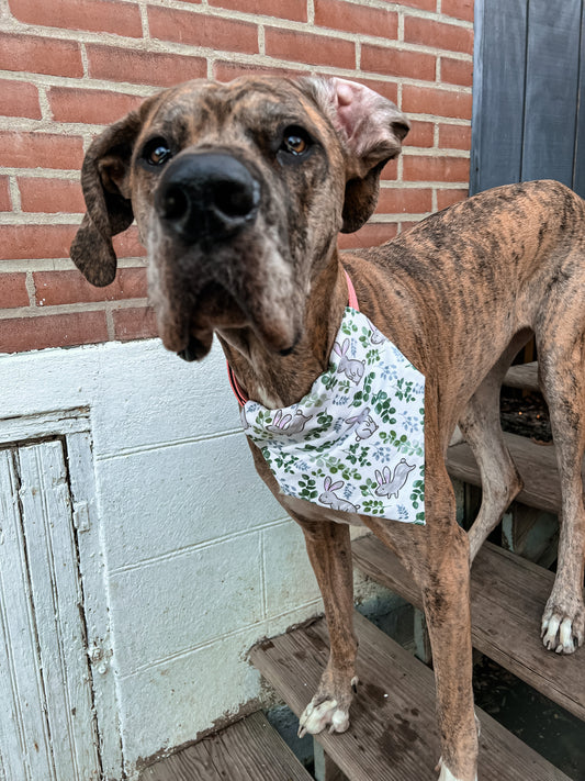 Bunnies Bandana
