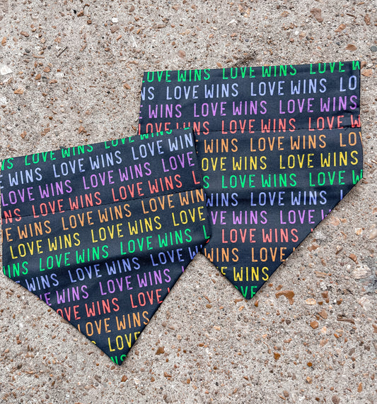 Love Wins Bandana
