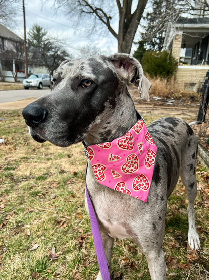Pizza Hearts Bandana