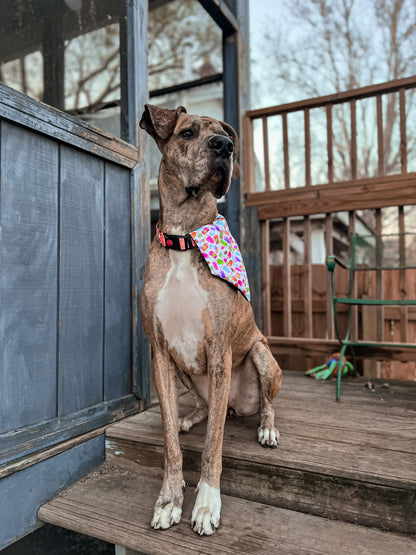 Popsicles Bandana