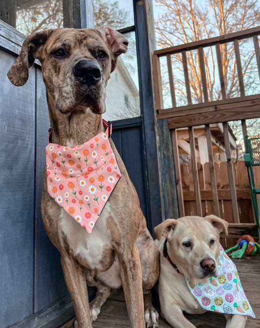 Smiley Daisies Bandana