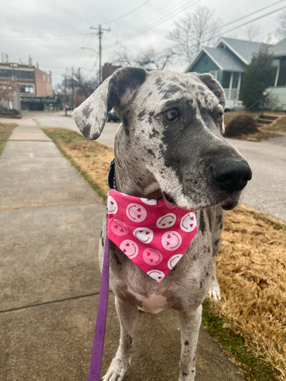 Smiley Hearts Bandana