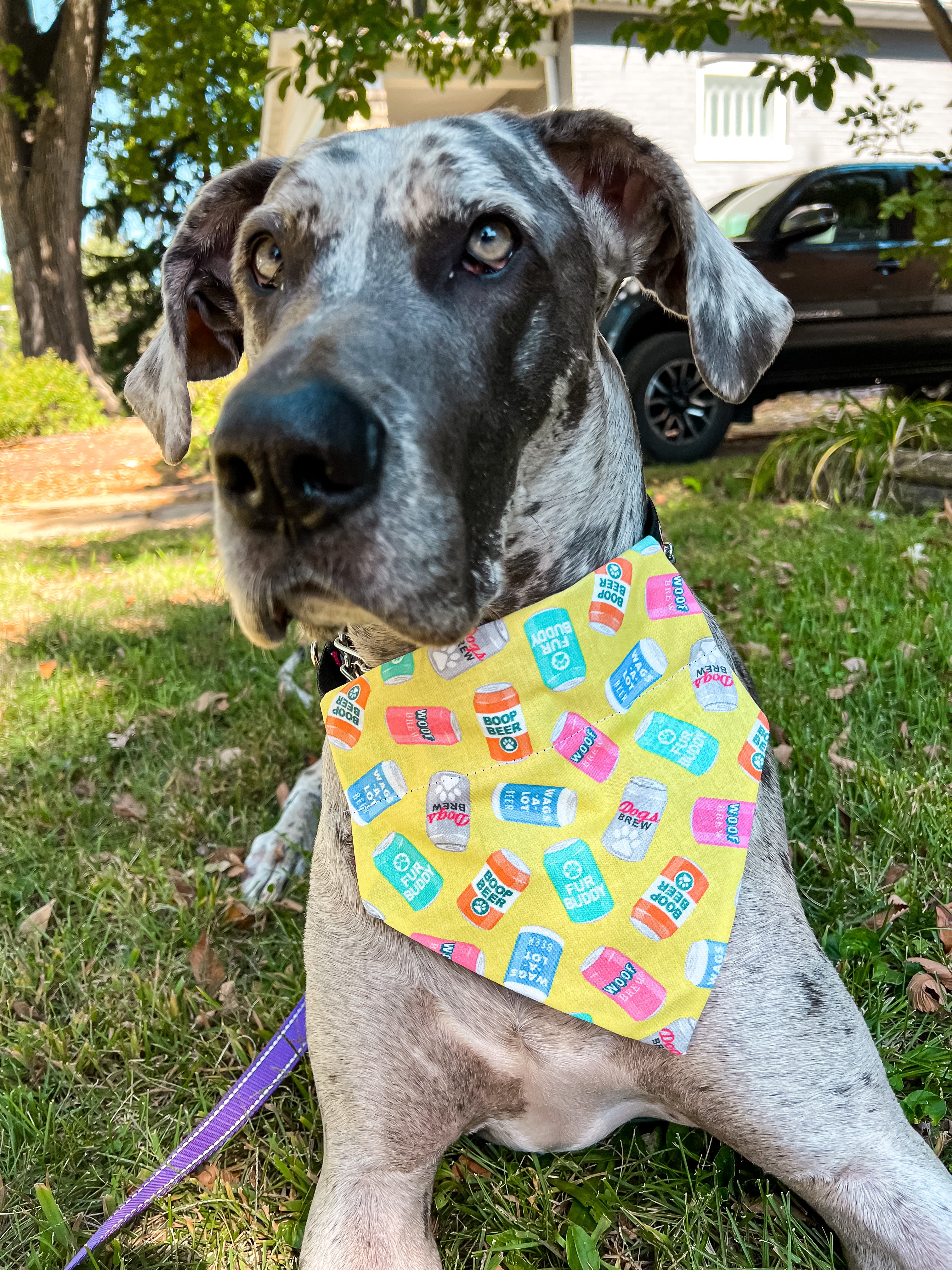 Dog Beers Bandana