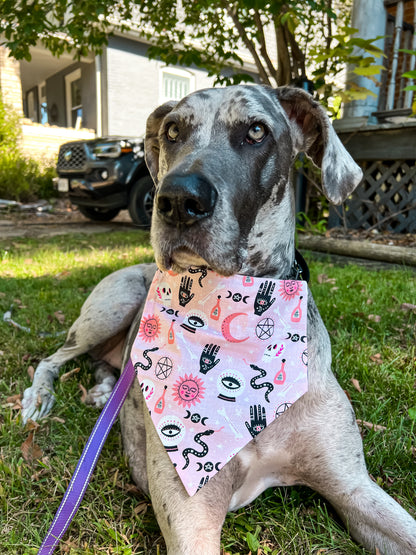 Spooky Pink Bandana